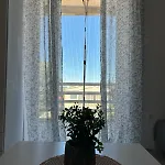 Sunny Beachfront *