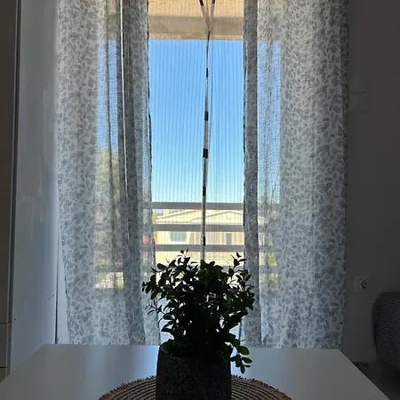 Sunny Beachfront *